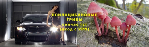 винт Богородск