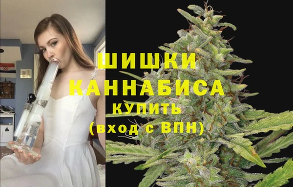 прущая мука Богданович
