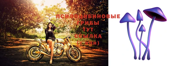 прущая мука Богданович