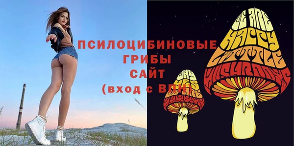прущая мука Богданович